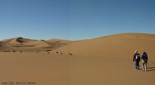 Maroc trek randonnée chamelière désert Sahara dunes sud marocain dromadaires