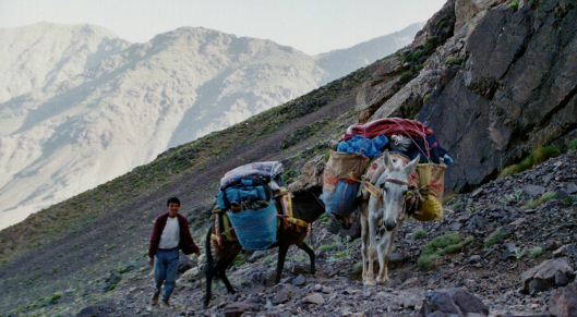 Maroc trek randonnée muletière Haut Atlas Toubkal villages sommet