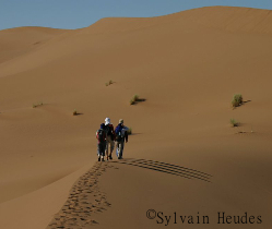 Maroc trek randonnée désert Zagora Foum Zguid