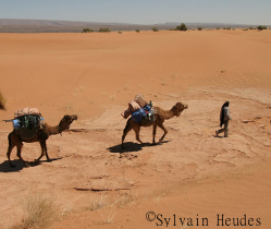Maroc trek randonnée désert Sahara dunes