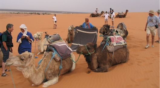 Maroc excursion 4X4 désert Sahara dunes Merzouga dromadaires