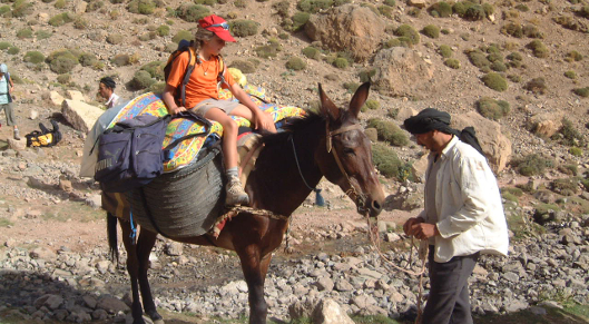 Maroc trek randonnée muletière Atlas gorges M'Goun