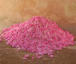 Maroc trek randonnée vallée roses