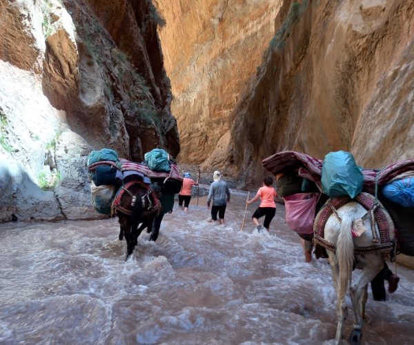 trekmaroc-Haut-Atlas-randonnee-muletiere-MGoun